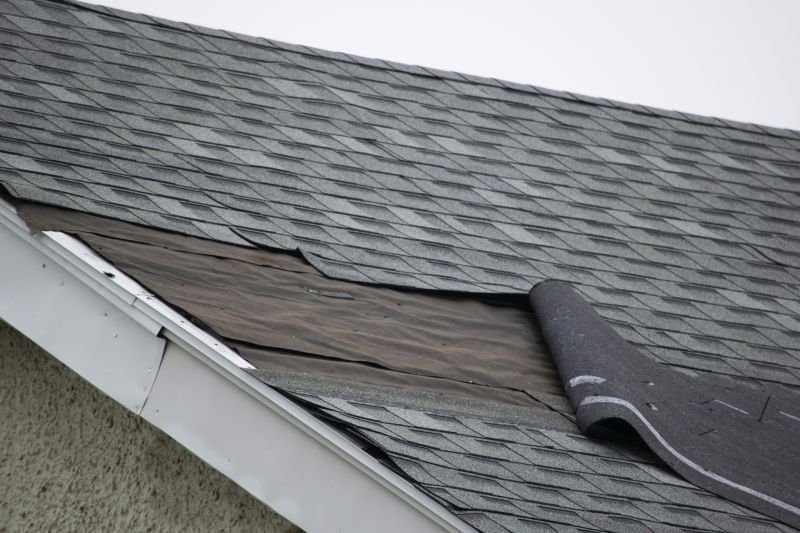 Asphalt Shingle Repair - Damaged Shingles