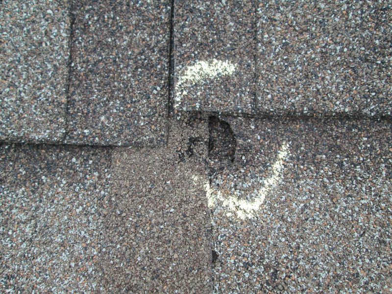 Asphalt Shingle Repair - Granule Loss